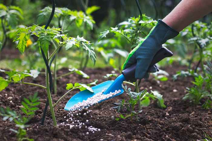 Si está utilizando uno de estos fertilizantes populares, deténgase ahora, dice un nuevo estudio