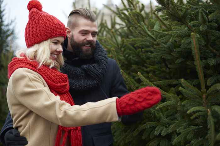 Nunca compre uma árvore de Natal que se sente assim, os especialistas alertam