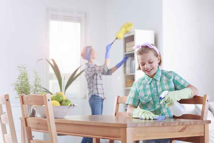 Non pulire mai questa parte della tua casa quando è soleggiata, dicono gli esperti