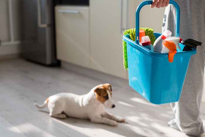 Non usare mai questo prodotto per disinfettare la tua casa, avverte la FDA