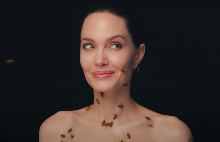 Voir la séance photo le plus étrange d'Angelina Jolie à ce jour