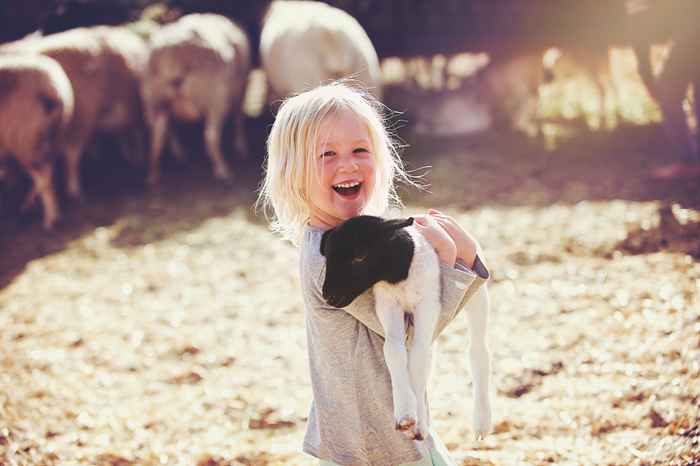 O CDC diz que você não deveria estar tocando este animal comum agora