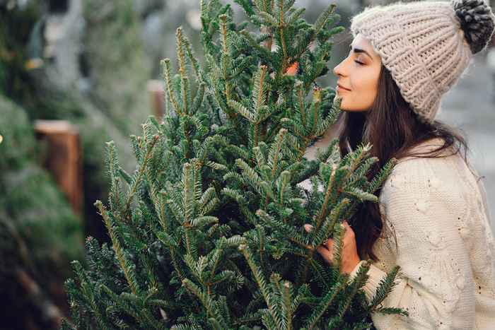 Dies ist die schlechteste Zeit, um einen Weihnachtsbaum zu kaufen, sagen Experten