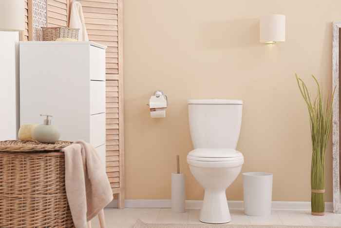 Vous ne devriez jamais nettoyer vos toilettes avec cela, avertissent les experts