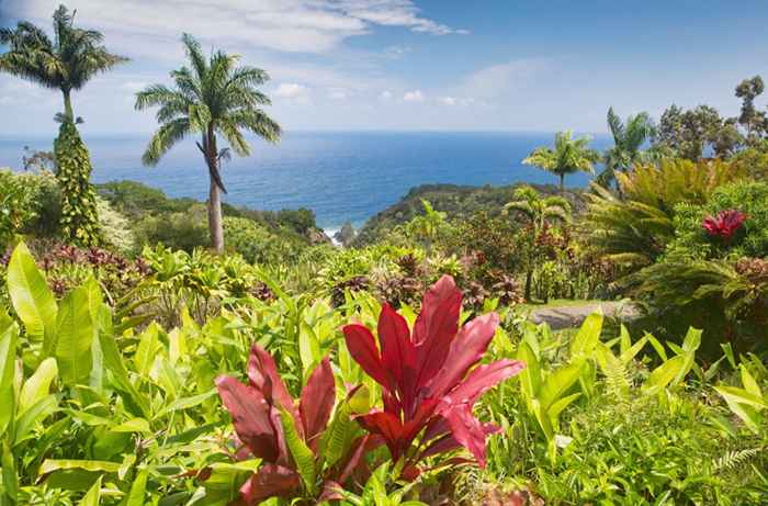 19 jardins secrètes enchanteurs dans le u.S.