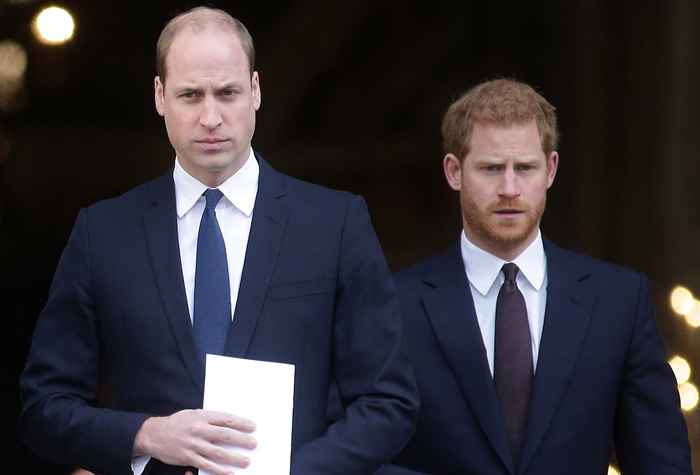 Les amis de Diana se disent choqués par la dernière décision de William & Harry