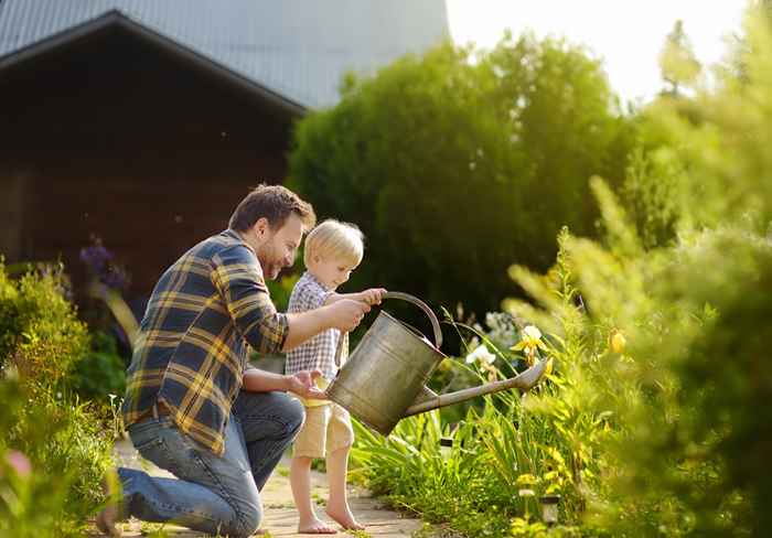 Se vedi questi fiori nel tuo cortile, non avvicinarti a loro, avvertono i funzionari