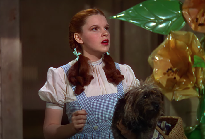 Il vestito Mago di Oz di Judy Garland è stato appena trovato in una borsa della spazzatura