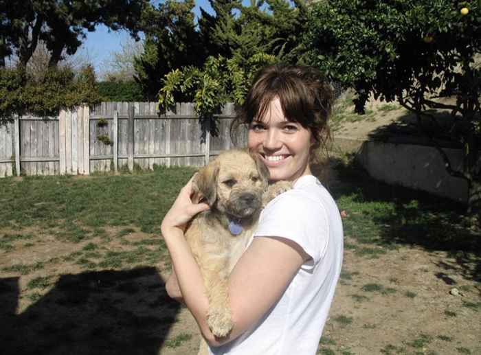 Mandy Moore pleure la perte de son chien mon premier amour et le meilleur ami