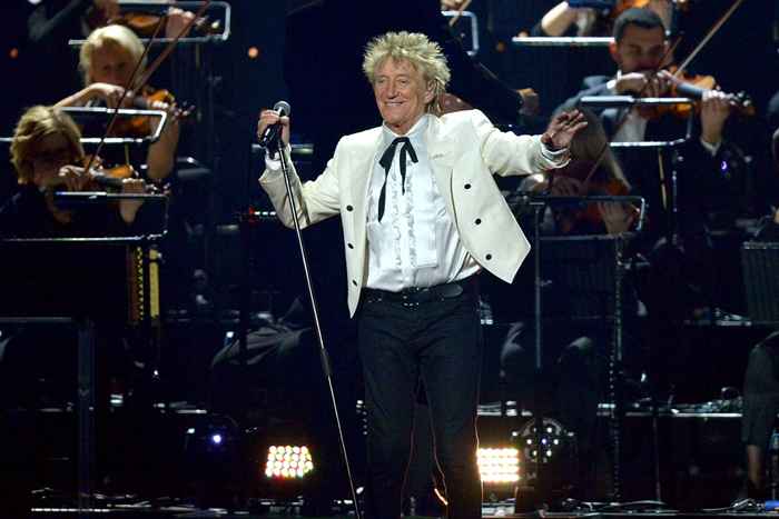 Vedi il figlio di Rod Stewart, che è un giocatore di hockey professionista