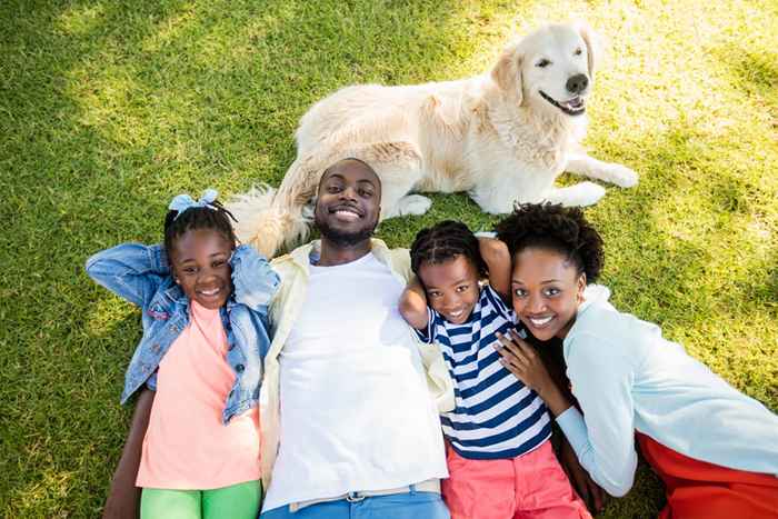 Le 15 migliori razze di cani per le famiglie, secondo i veterinari