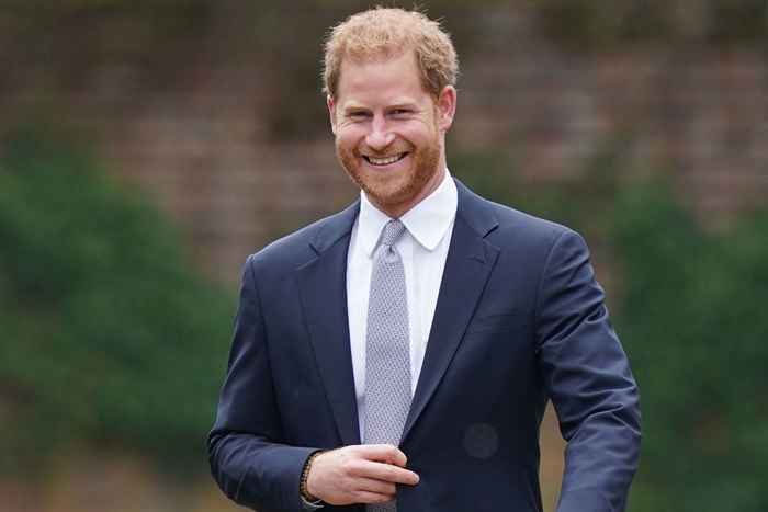 Los amigos de Diana fueron sorprendidos por Harry en la presentación