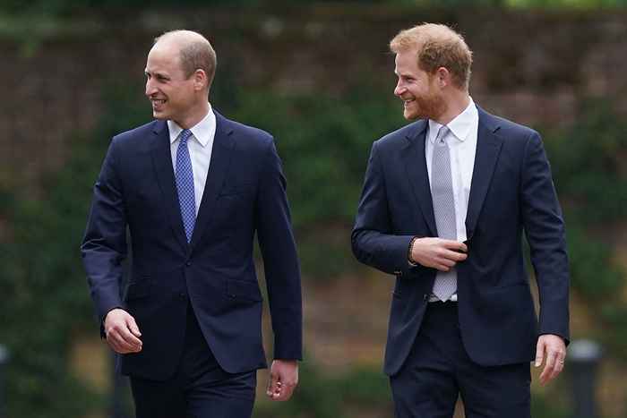 A única maneira de William e Harry chocou a todos na inauguração