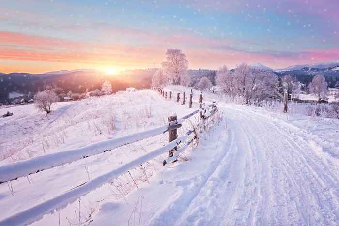 10 maneiras inteligentes de passar o inverno quando você está esperando o verão