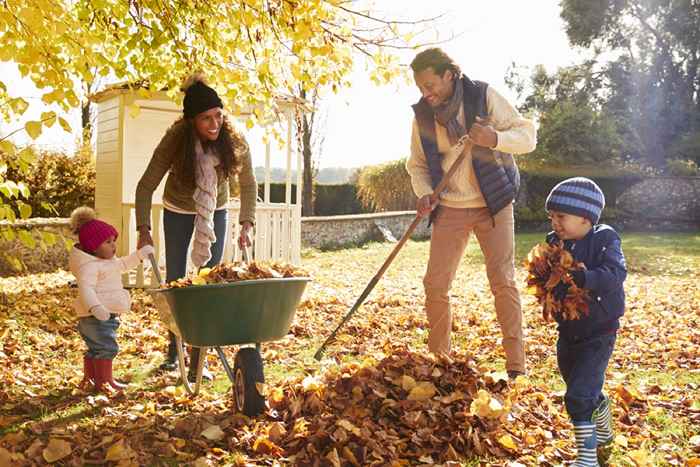 13 formas de preparar su patio antes de que comience el invierno