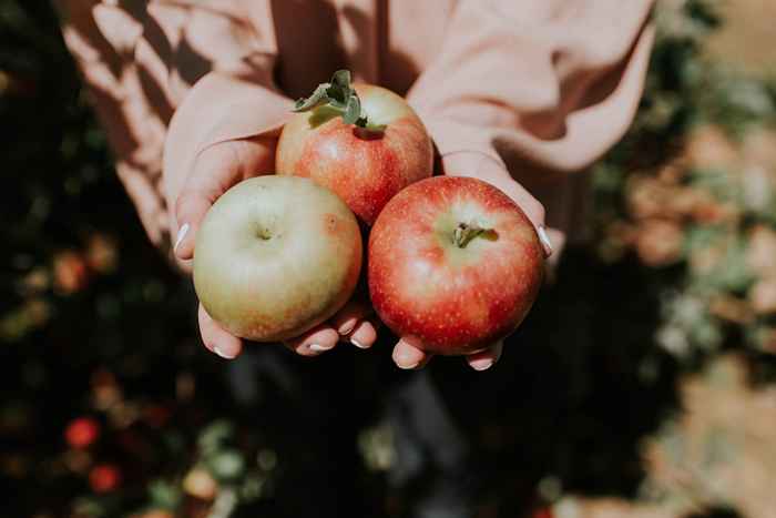 30 citas festivas de selección de manzanas para celebrar el otoño