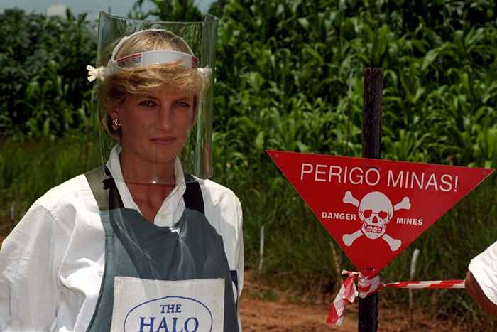 Prinz Harry wollte Diana mit seinem Landmine -Besuch in Angola bestätigen