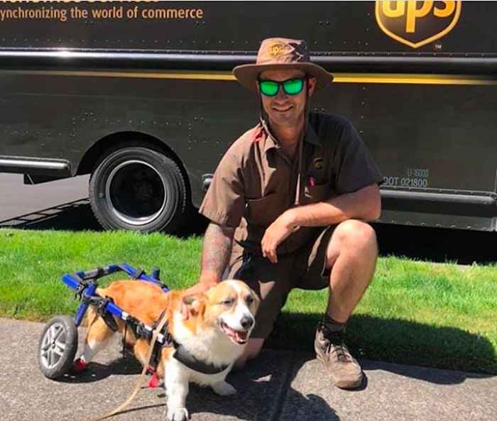 Estas fotos de los conductores de UPS con perros te alegrarán el día