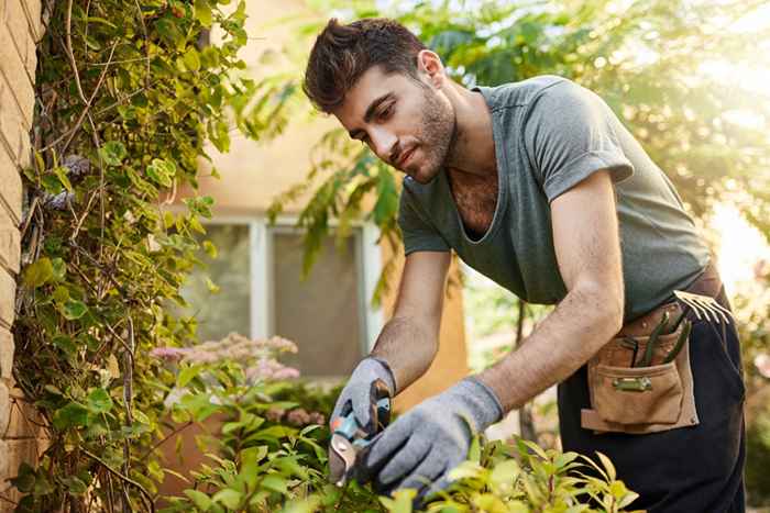 17 störende Gesundheitsgefahren, die in Ihrem Garten lauern