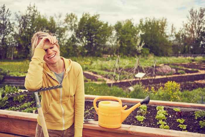 20 enkle tips for å få en nydelig hage om våren