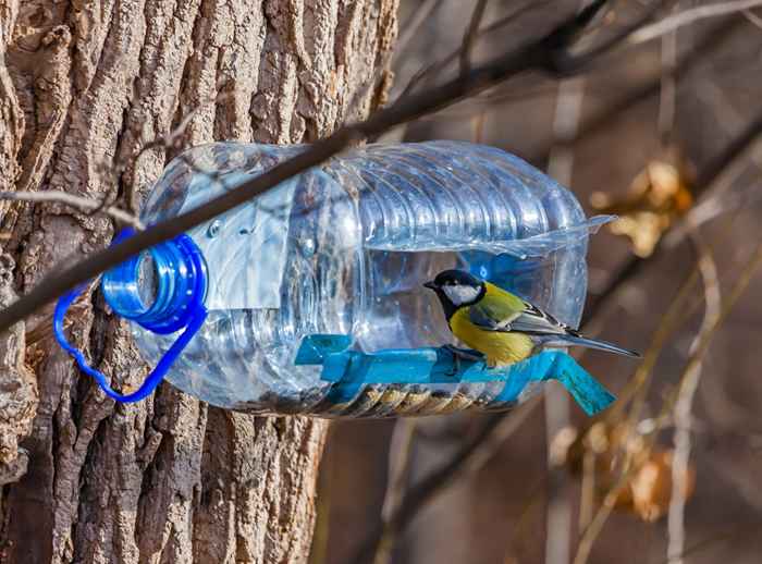 23 artículos desechables en su hogar que no sabía que podría reutilizar