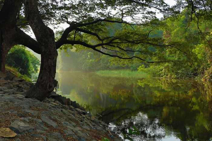 50 fakta om naturens underverker som vil ta pusten fra deg