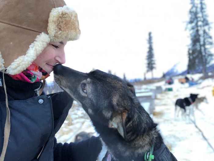 Warum Twitter von dieser entzückenden Schlittenhunde besessen ist