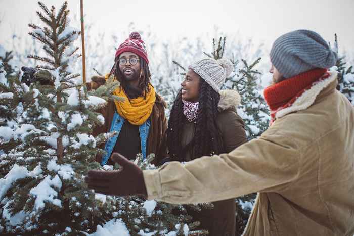 12 choses à savoir avant d'acheter un arbre de Noël, selon les vendeurs