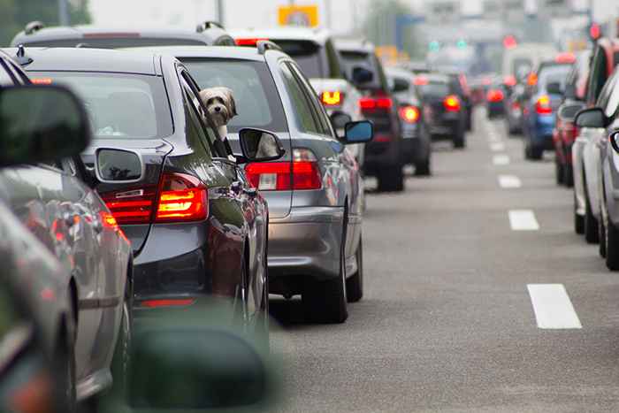 Hier erfahren Sie, wie viele Stunden Sie während Ihres Lebens im Verkehr verbringen werden