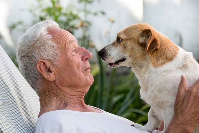 Voici pourquoi avoir un animal de compagnie après 50 fait de vous une personne plus saine