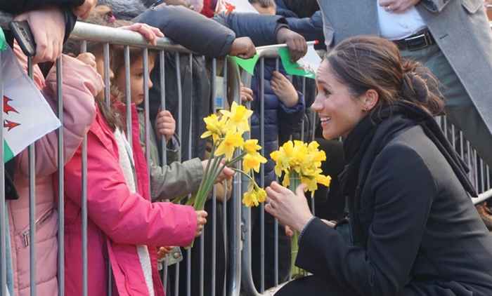 Meghan Markle potrebbe presto diventare uno scrittore di libri per bambini, secondo Insider