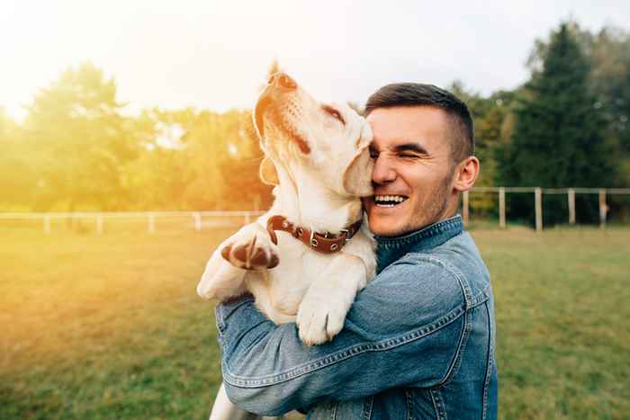 Une nouvelle étude trouve que les propriétaires de chiens sont plus heureux que les propriétaires de chats