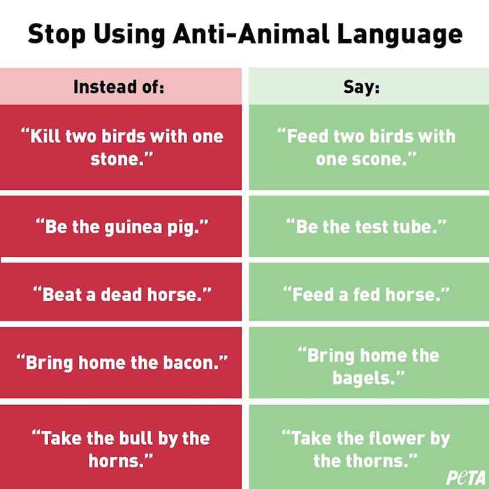 PETA a publié cette liste de langues adaptées aux animaux et Internet ne peut pas arrêter de rire