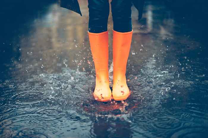 C'est pourquoi il est illégal de collecter l'eau de pluie dans certains États