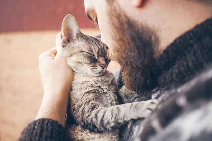 15 beneficios asombrosos de adoptar una mascota