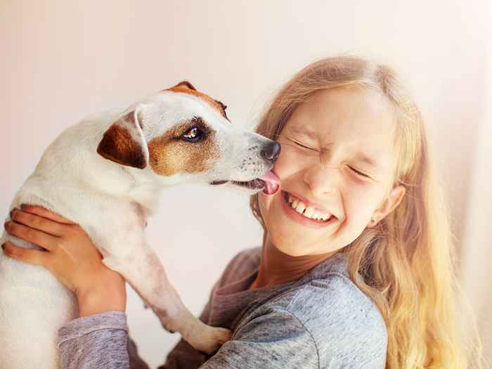 20 fatti sui cani da riparo che ti faranno venire voglia di adottare immediatamente