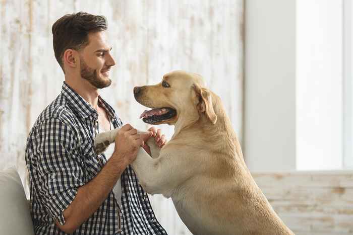 La ciencia dice que su perro adopta su personalidad con el tiempo