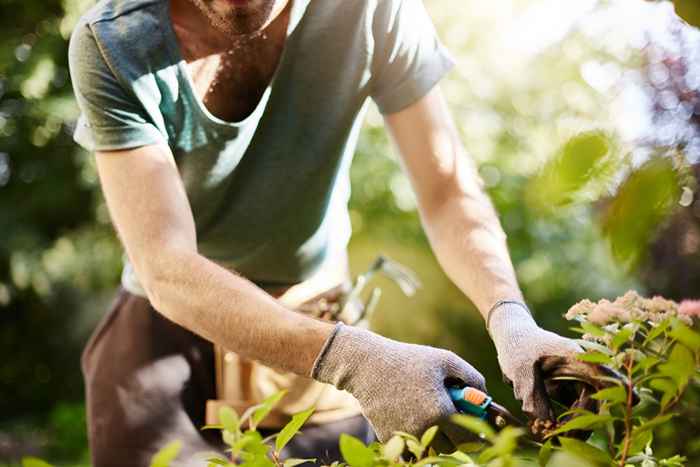 15 formas en que estás destruyendo tu jardín