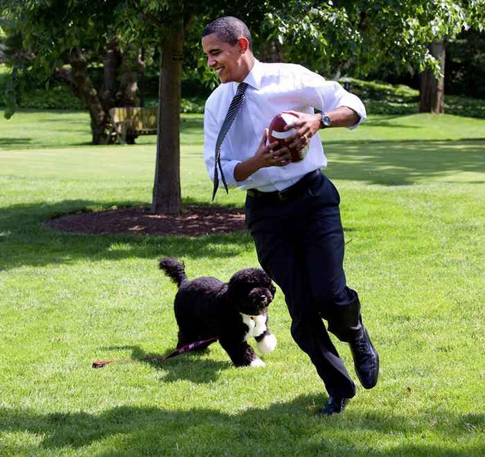 20 mascotas que vivían en la Casa Blanca