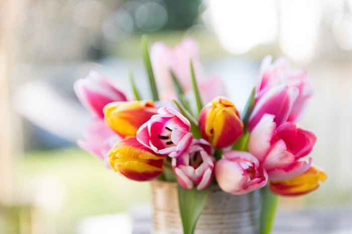 8 benefícios surpreendentes de ter flores em sua casa