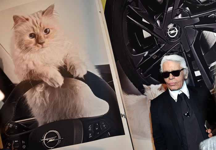 Møt katten som kan arve en del av Karl Lagerfelds formue